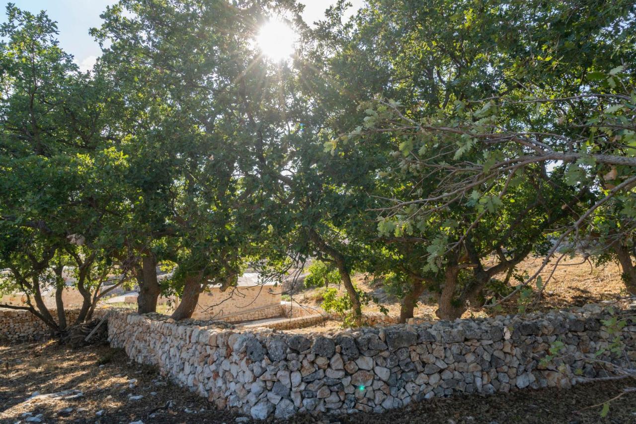 הוילה אלטאמורה Donnapaola Modern Farm מראה חיצוני תמונה