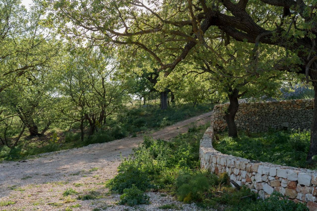 הוילה אלטאמורה Donnapaola Modern Farm מראה חיצוני תמונה