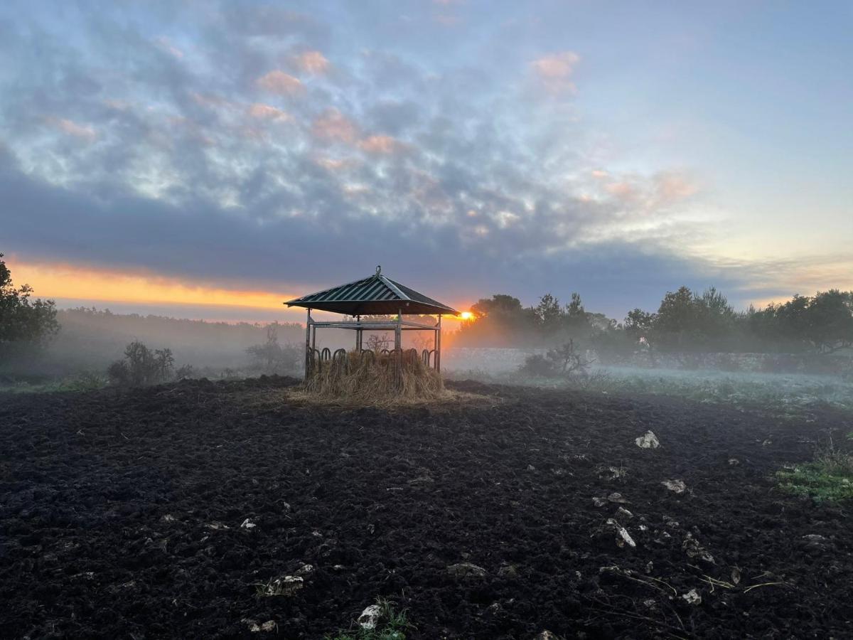 הוילה אלטאמורה Donnapaola Modern Farm מראה חיצוני תמונה