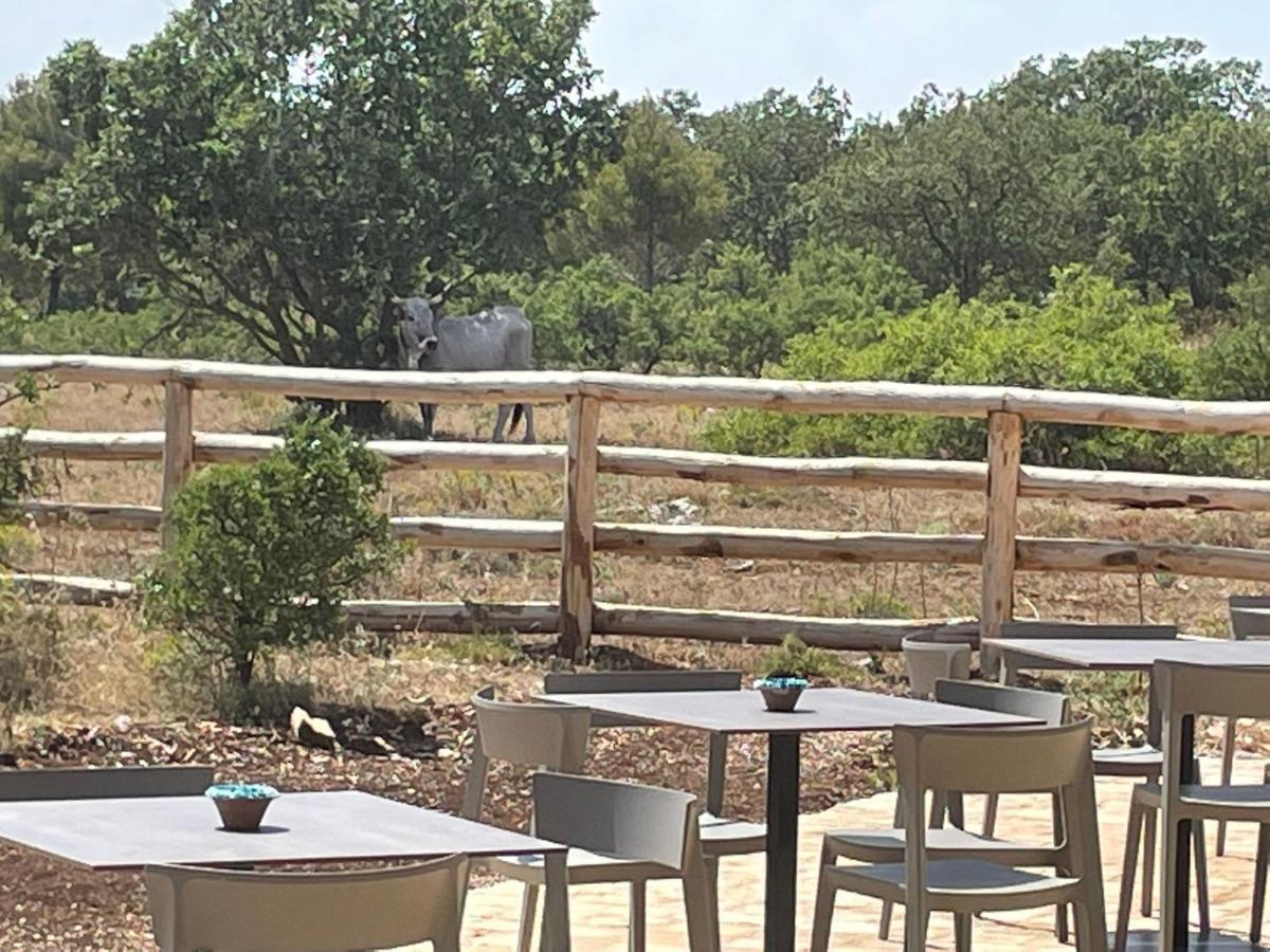 הוילה אלטאמורה Donnapaola Modern Farm מראה חיצוני תמונה